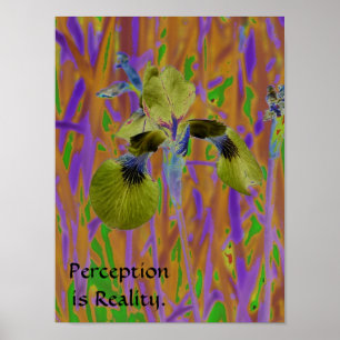 Póster La opinión es Poster-Iris de la realidad