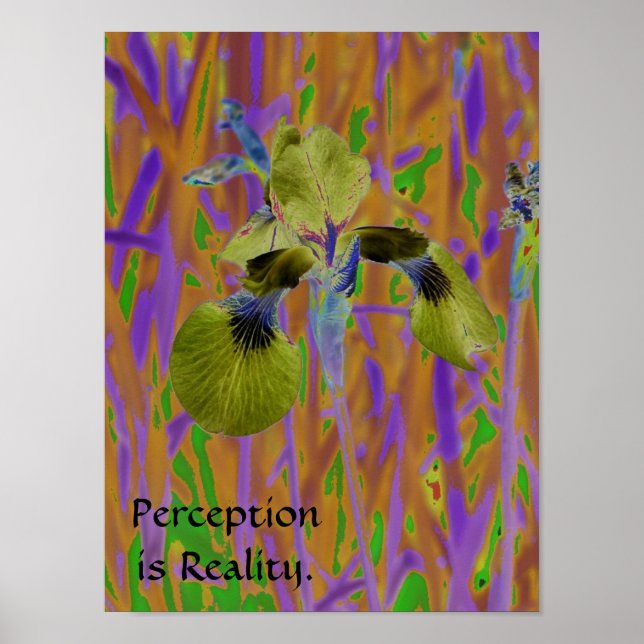 Póster La opinión es Poster-Iris de la realidad (Frente)