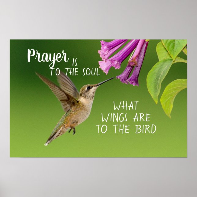 Póster La oración del colibrí es para el alma (Frente)