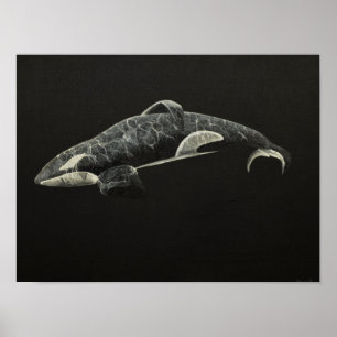 Póster La orca