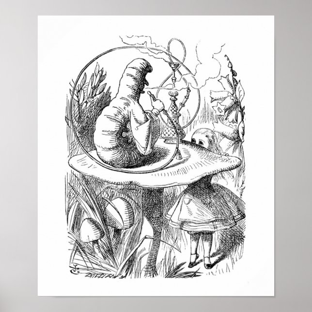 Póster La oruga (Frente)