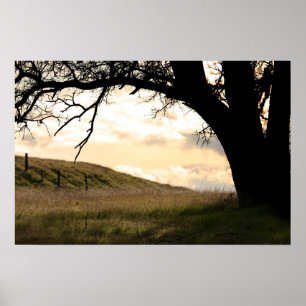 Póster La "oscuridad de la frontera "