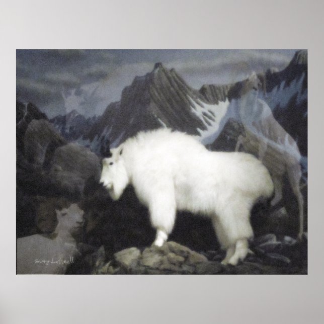 Póster La oveja y las cabras (estilo montañés) (Frente)