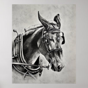 Póster La paciencia es una virtud