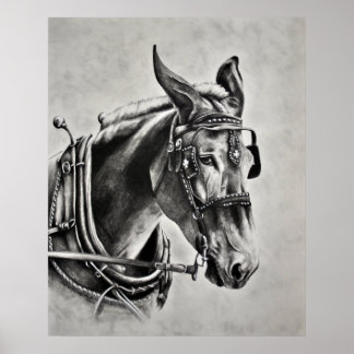 Póster La paciencia es una virtud