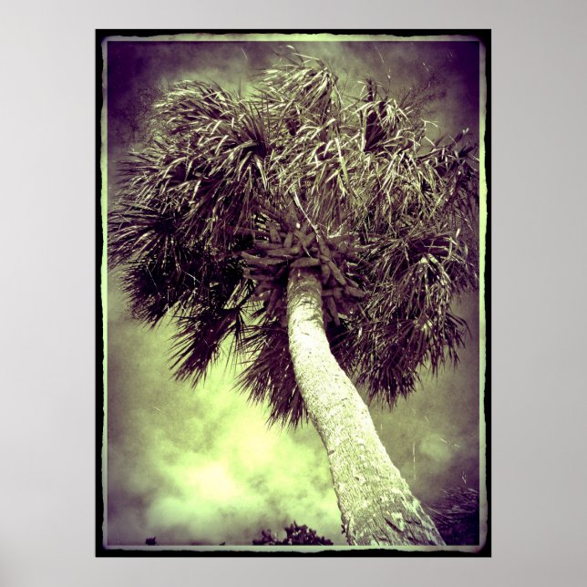 Póster La palma (Frente)