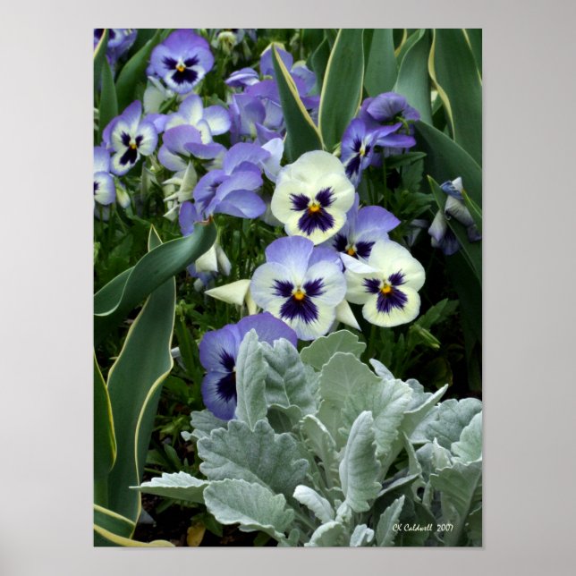 Póster La panadería perfecta (Frente)