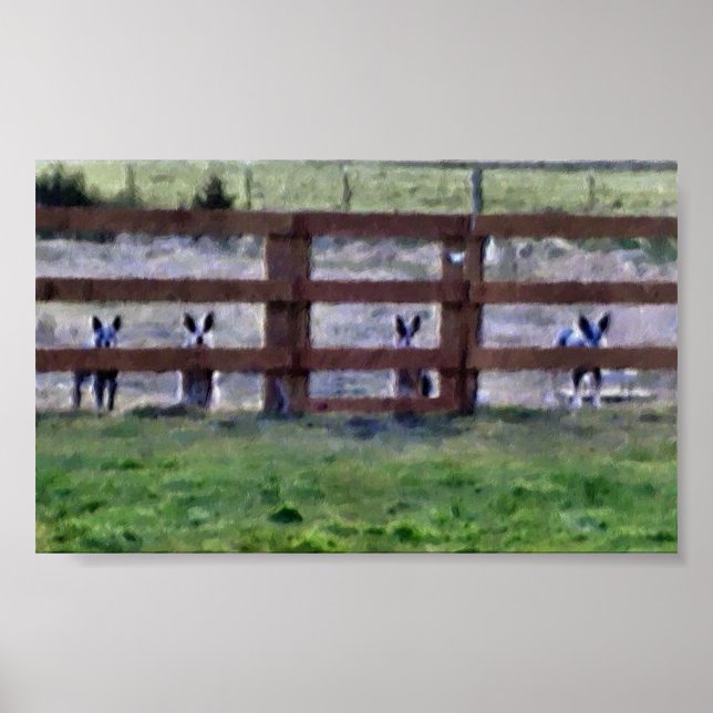 Póster La pandilla (Frente)