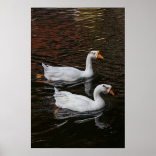 Póster La pareja