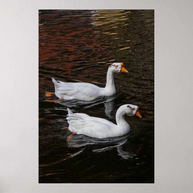 Póster La pareja (Frente)
