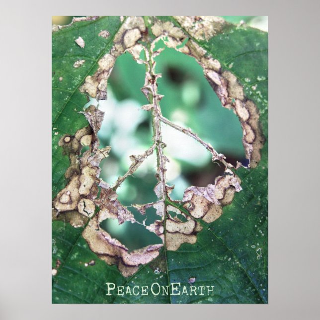 Póster la paz (Frente)