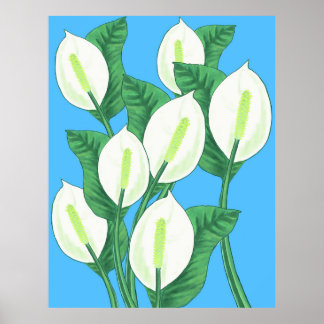 Póster La paz blanca se esconde en un fondo azul pálido