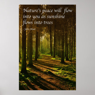 Póster 'La paz de la naturaleza fluirá hacia ti' cita de 