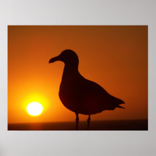 Póster La paz sigue siendo_