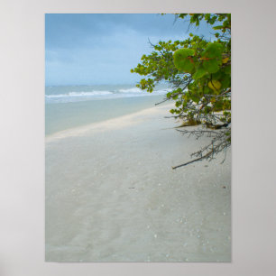 Póster La Paz Y La Tranquilidad En La Isla De Sanibel