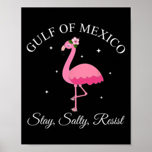 Póster La permanencia del Golfo De México Sally Resist