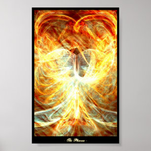 Póster La Phoenix