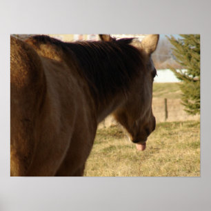 Póster La piel de gallina le echa la lengua