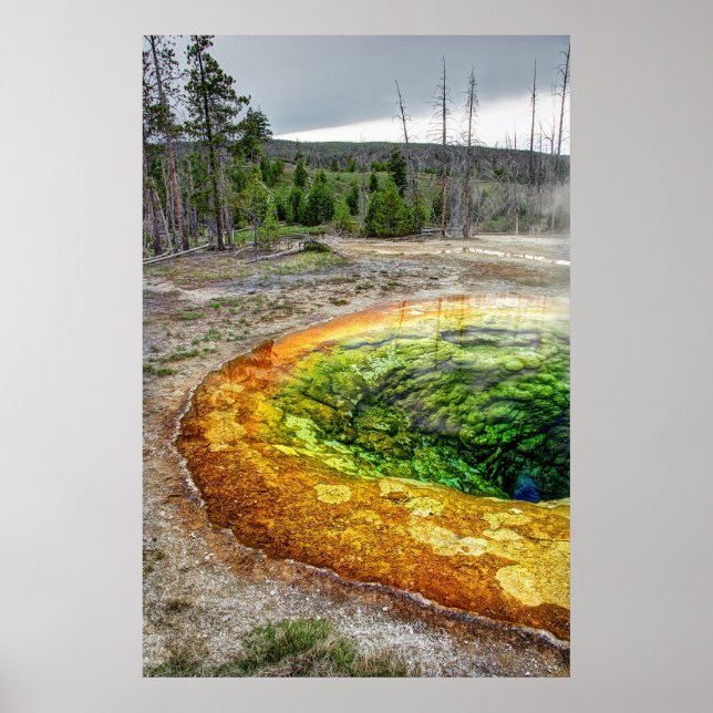 PÓSTER LA PISCINA DE GLORIA DE LA MAÑANA DE YELLOWSTONE (Frente)