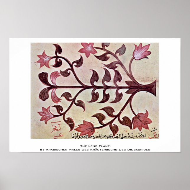 Póster La planta de la lente (Frente)