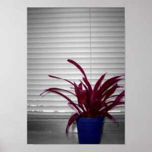 Póster La planta morada