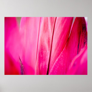 Póster La planta textil deja hojas rosadas rojas