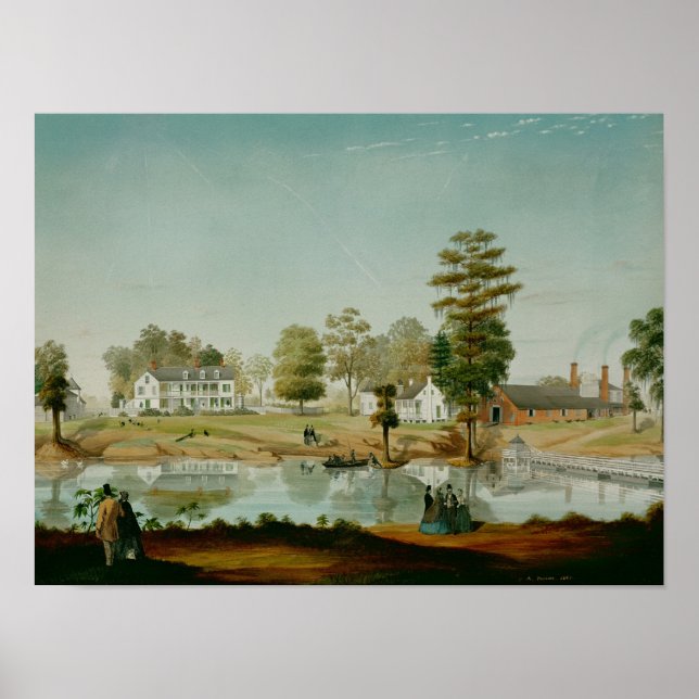 Póster La plantación Olivier, 1861 (Frente)