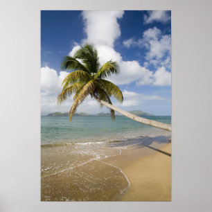 Póster La playa de Coconut Grove en Cades Bay, con St.