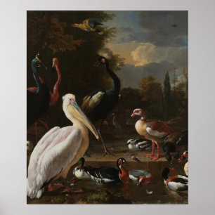 Póster La pluma flotante