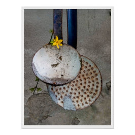 Póster La poesía de las cosas olvidadas