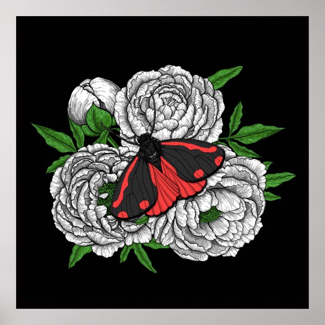 Póster La polilla del cinabrio (Frente)