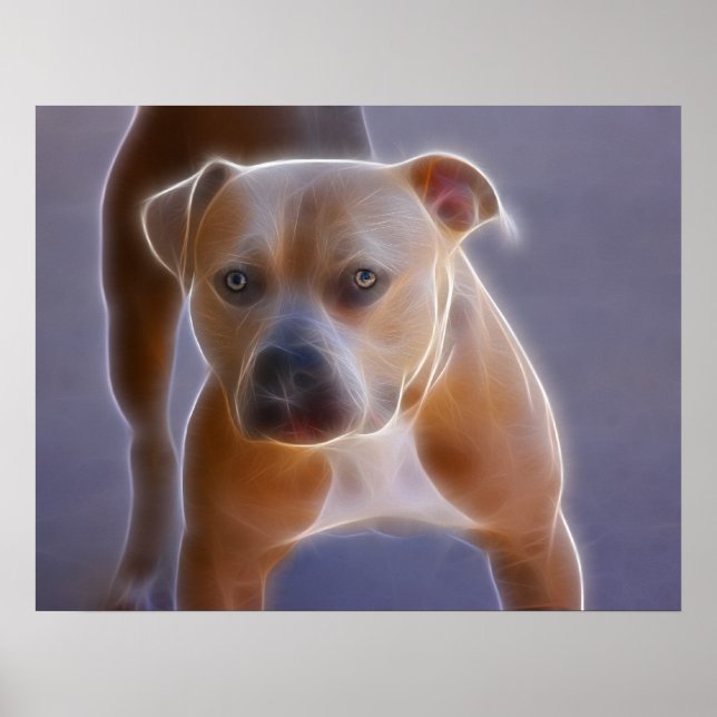 Póster La postura (Frente)