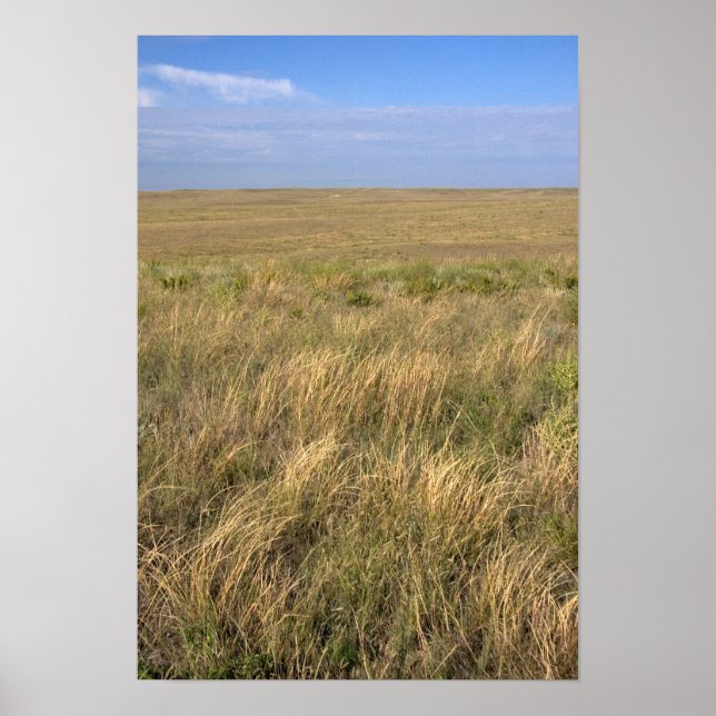 Póster La pradera de pastizales al este de Sidney, Nebras (Frente)