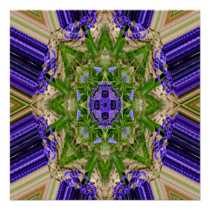 Póster La primavera llega al bosque...