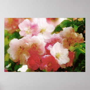 Póster La primavera soñadora florece poster del color de