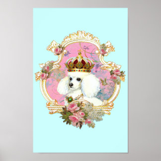 Póster La princesa del caniche en rosas rosas rosas