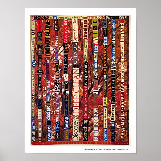 Póster La profunda limpieza del caos (Frente)