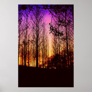 Póster la puesta de sol a través de los árboles cambió el