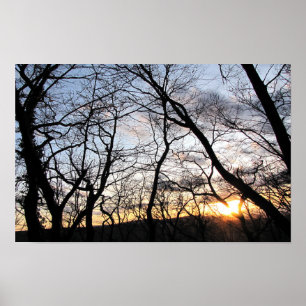 Póster La puesta de sol detrás de los árboles