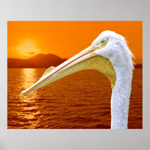 Póster La puesta de sol estadounidense en Pelican White e