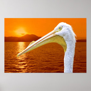 Póster La puesta de sol estadounidense en Pelican White e