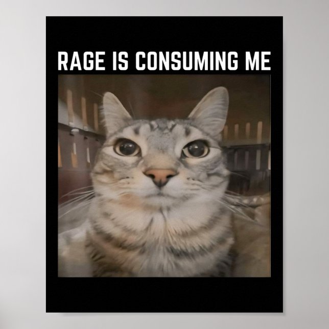 Póster La rabia me está consumiendo meme de gato extrañam (Frente)