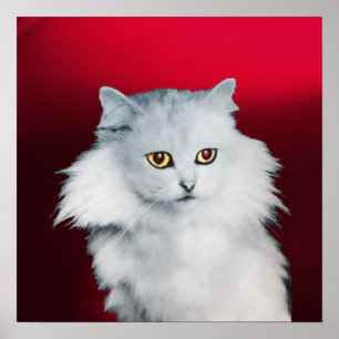 Póster LA REINA DE LOS GATOS BLANCOS ,Burgundy Rojo