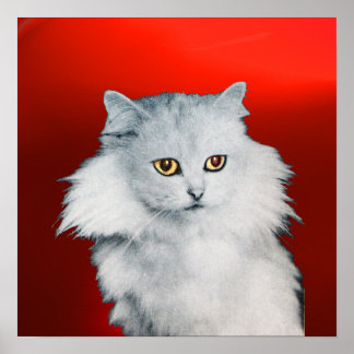 Póster LA REINA DE LOS GATOS BLANCOS, RÚO Rojo