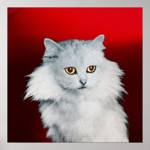 Póster LA REINA DE LOS GATOS BLANCOS, RÚO Rojo