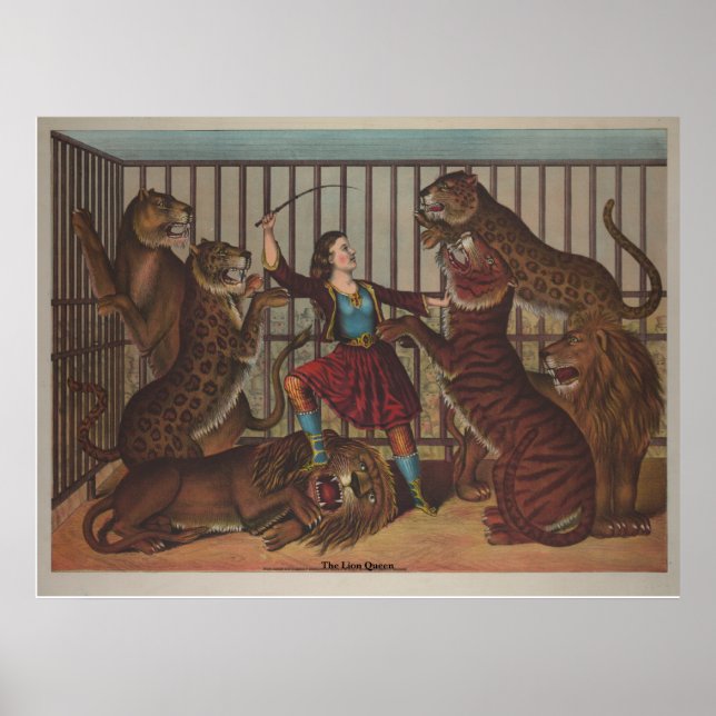 Póster La reina de los leones (Frente)