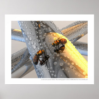 Póster La rencontre - La reunión (versión dorada)