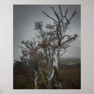 Póster La resiliencia de la naturaleza: Tierra del Fuego