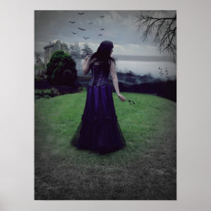 Póster La resolución evadida