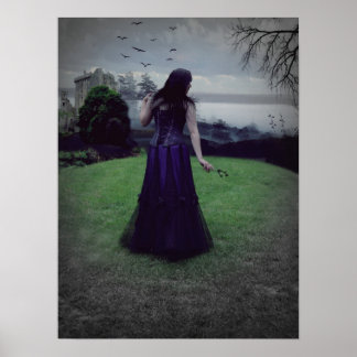 Póster La resolución evadida